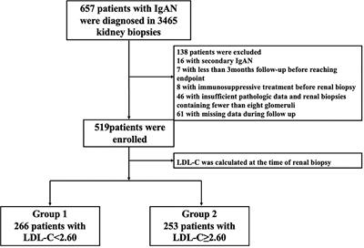 Prognostic value of low-density lipoprotein cholesterol in IgA nephropathy and establishment of nomogram model